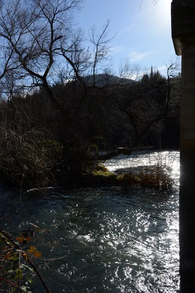 DSC_1098 (Large).JPG